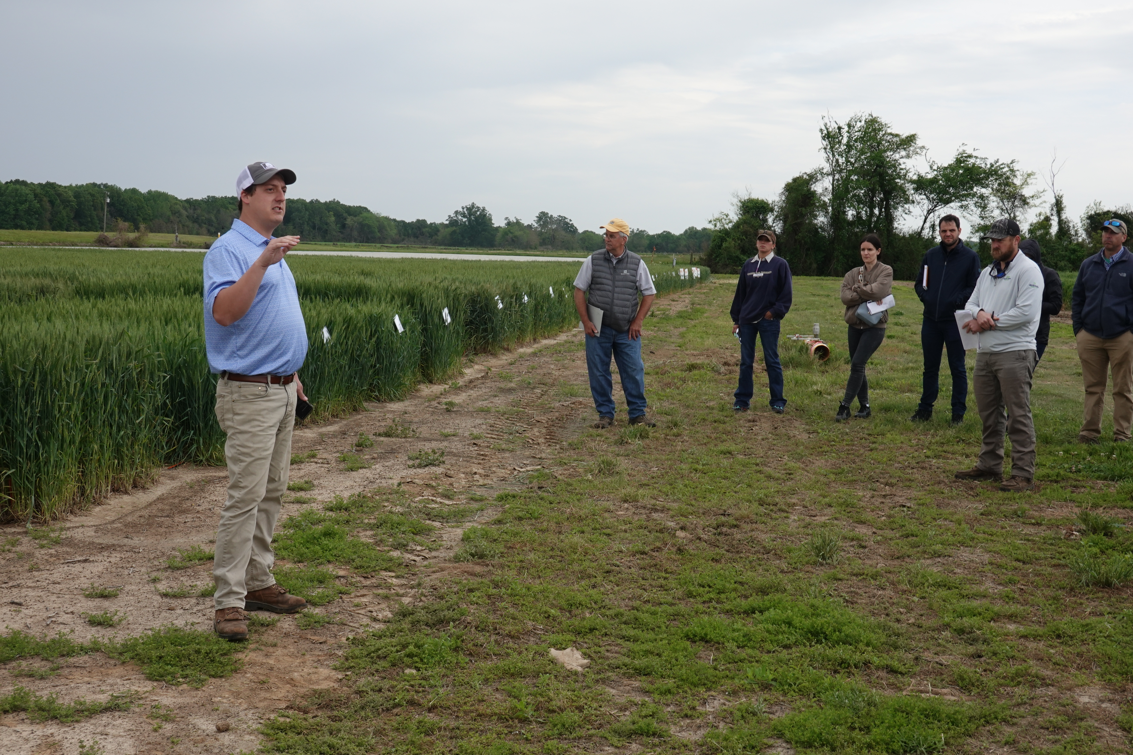Man talking to farmers in wheat field.